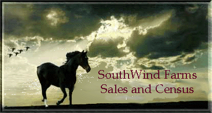 SouthWind Farms Brood Mare List